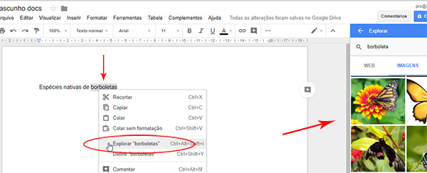 Google Docs - Imagens