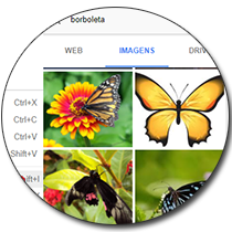 Google Docs - imagens